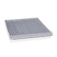 Filtros de polen